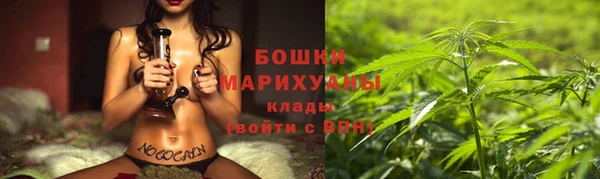 бошки Медногорск