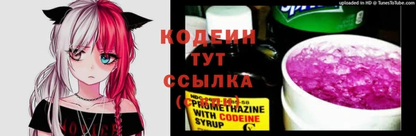 трава Арсеньев
