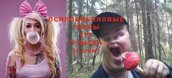 гидропоника Абдулино