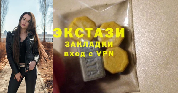 крисы Мегион