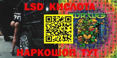 молекула духа Тверь